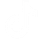TikTok Icon